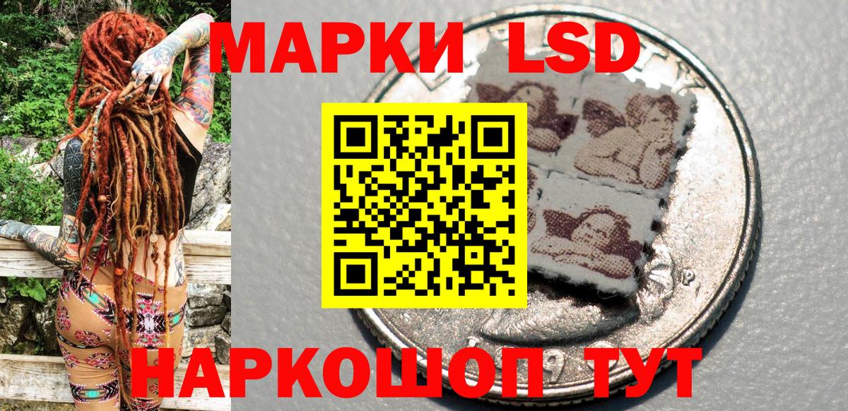 МЕФ Камень-на-Оби
