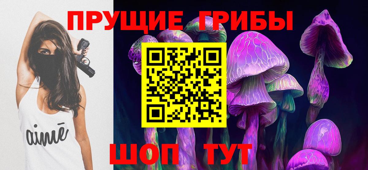 Псилоцибиновые грибы MAGIC MUSHROOMS Камень-на-Оби